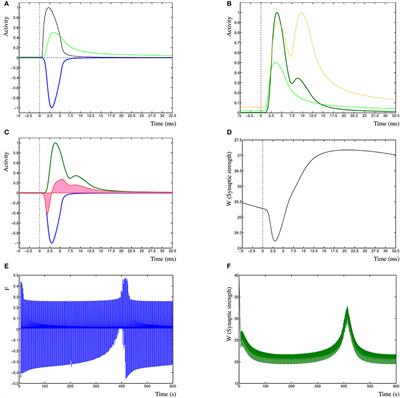 Dynamic Hebbian Cross-Correlation Learning Resolves the Spike Timing Dependent Plasticity Conundrum